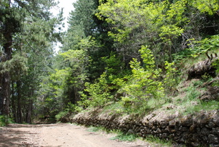 fugio della Galvarina-04-06-2021 12